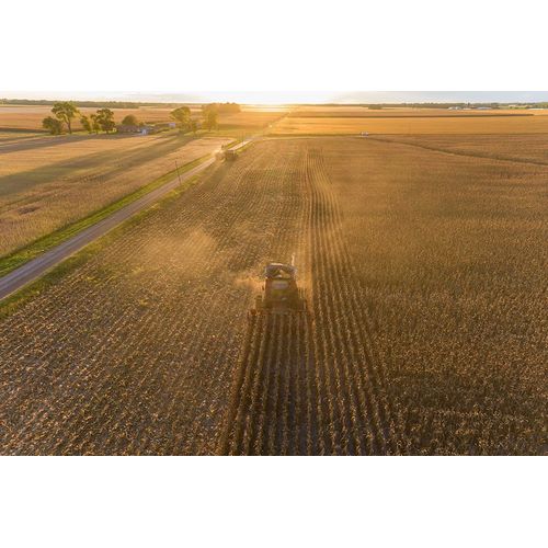 Day, Richard and Susan 아티스트의 Aerial view of combine harvesting corn field at sunset-Marion County-Illinois작품입니다.